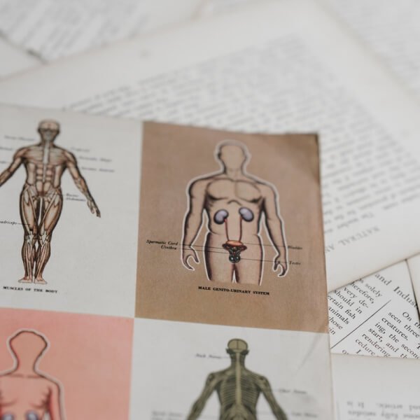 Медицинский перевод